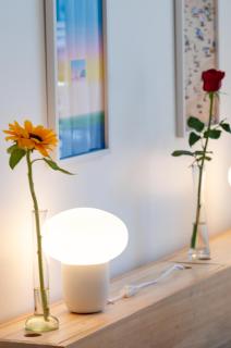 Palermo Para Dos - 6