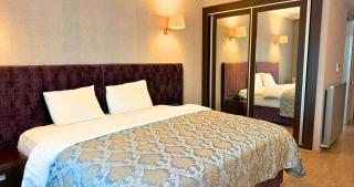 216 Castle Hotel - 7