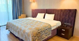 216 Castle Hotel - 6