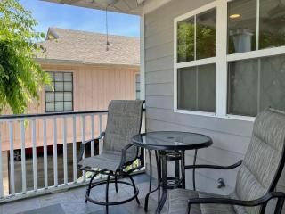 Lazi Seahorse - Tybee Island - 1