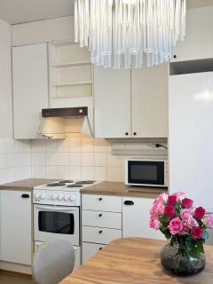 Bright & Spacious Retreat Near Santa Claus Village -Free parking - 6