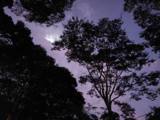 Chalé Rústico - Retiro Andaluz - 8