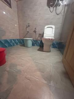 Wooden Cottage jibhi - 8