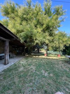 Appartement avec piscine - 5