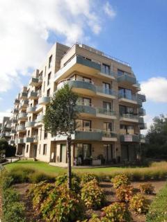 Modern Studio with Terrace Woluwe-Saint-Lambert - 1