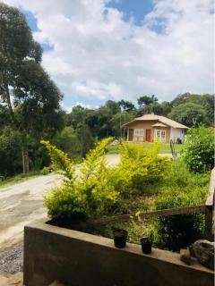 Pousada All Green - Monte Verde - 3