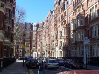 Hidden Gem in Kensington - 4