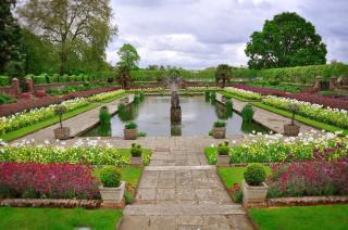 Hidden Gem in Kensington - 9