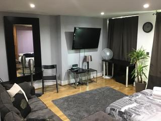 Exclusive Studio alongside River Thames - 6