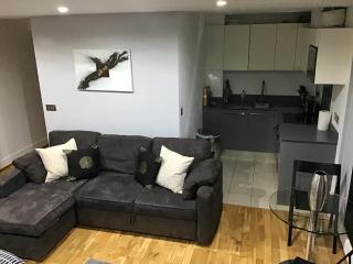 Exclusive Studio alongside River Thames - 4