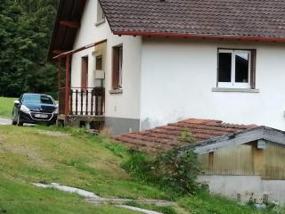 Appartement confortable à Cleurie avec jardin - 0
