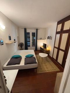 Studio cosy au pied de la Soufrière - 5