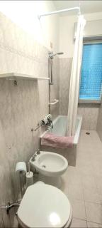 big house - vicino 20 minuti da PISA e LUCCA - 2