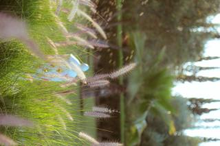 Palais Soufi 8 chambres - 2