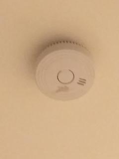 Guest house in rear garden - 4