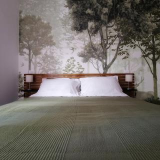 Pegasus appartamento - 7