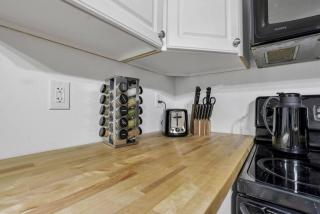 The Silver Birch - 1