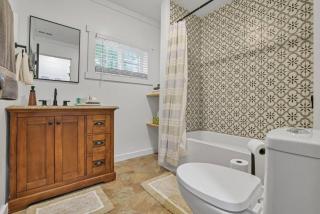 The Silver Birch - 4