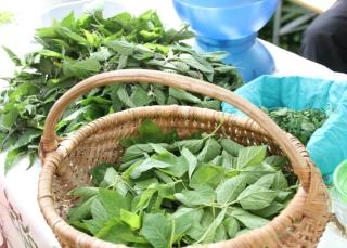 La Nave Monteggio - 4