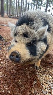 Paradise Ranch RV Resort - 1