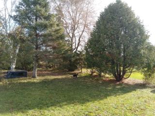 Cozy Quincy by The Jordan Company - 6