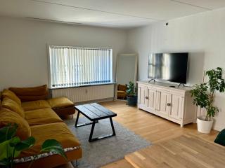 Cozy and central stay - 0