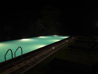 The Wild Elephant Resort - 8