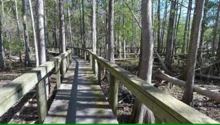 Brooksville Oasis! 3 Bedroom, Pool Home - 6