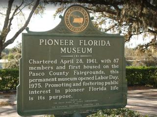 Entire Modern Home in Dade City - 8