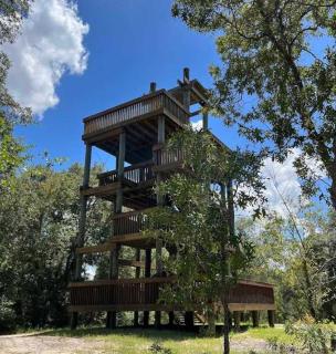 Entire Modern Home in Dade City - 7