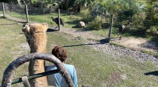 Entire Modern Home in Dade City - 2