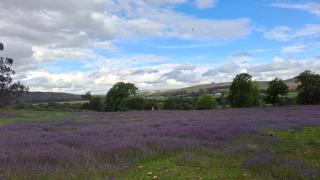 Lismore Cottages Swellendam - 3