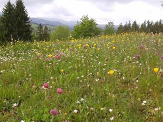 Ferienwohnung Berndt - Schwarzatal - 5
