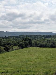 Tranquil Off-Grid Cabin - 2