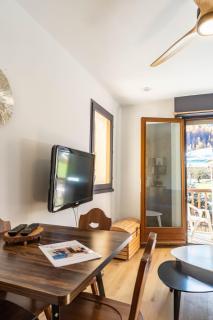 Studio à Vallouise-Pelvoux - Puy Saint Vincent, nature, rando et ski - 5