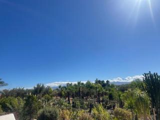 Villa Dar Waw Marrakech - 1