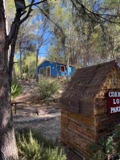 Casas Rurales La Navela - Blanca - 7