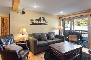 Chamonix #15 - Cozy Mtn Retreat with Fireplace - 2