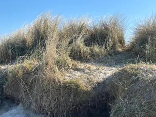 Sonnenseite 49 3 S - 4