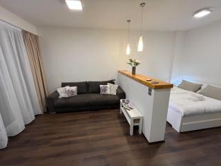 Danube Studio Apartment Győr - 6