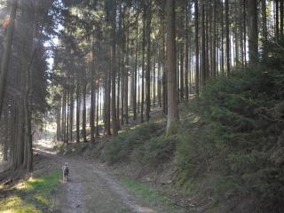 Rothaarsteig Ferienhaus - 5