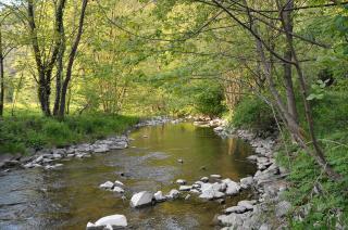 Rothaarsteig Ferienhaus - 4