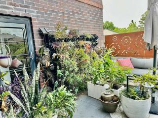 Entire Luxe Apartment Sydney - 7