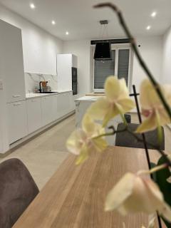 Chambre Élégance et confort a Esch - Esch-sur-Alzette - 9