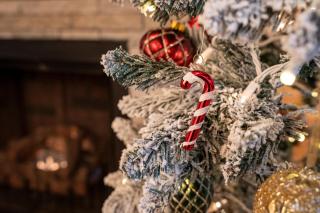 Luxury Couples Retreat- Hot Tub-Fireplace- Fire Pit- BBQ - 2