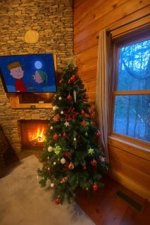 Family Retreat- Hot Tub- Pool Table- Fire Pit- BBQ Grill- Kids Zone- Arcade Games - 9