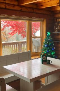 Family Cabin w Private Hot Tub- Game Rm- Disc Golf- Pets - 9