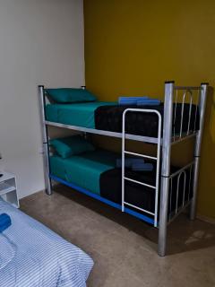 Parvis Magna HOSTAL - 3