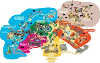 Spacious 4 Bedroom Entire Home, Tampa, Fire Pit - 5