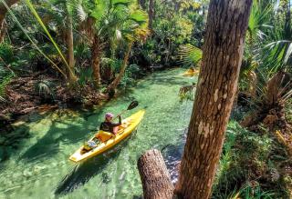 Spacious 4 Bedroom Entire Home, Tampa, Fire Pit - 3